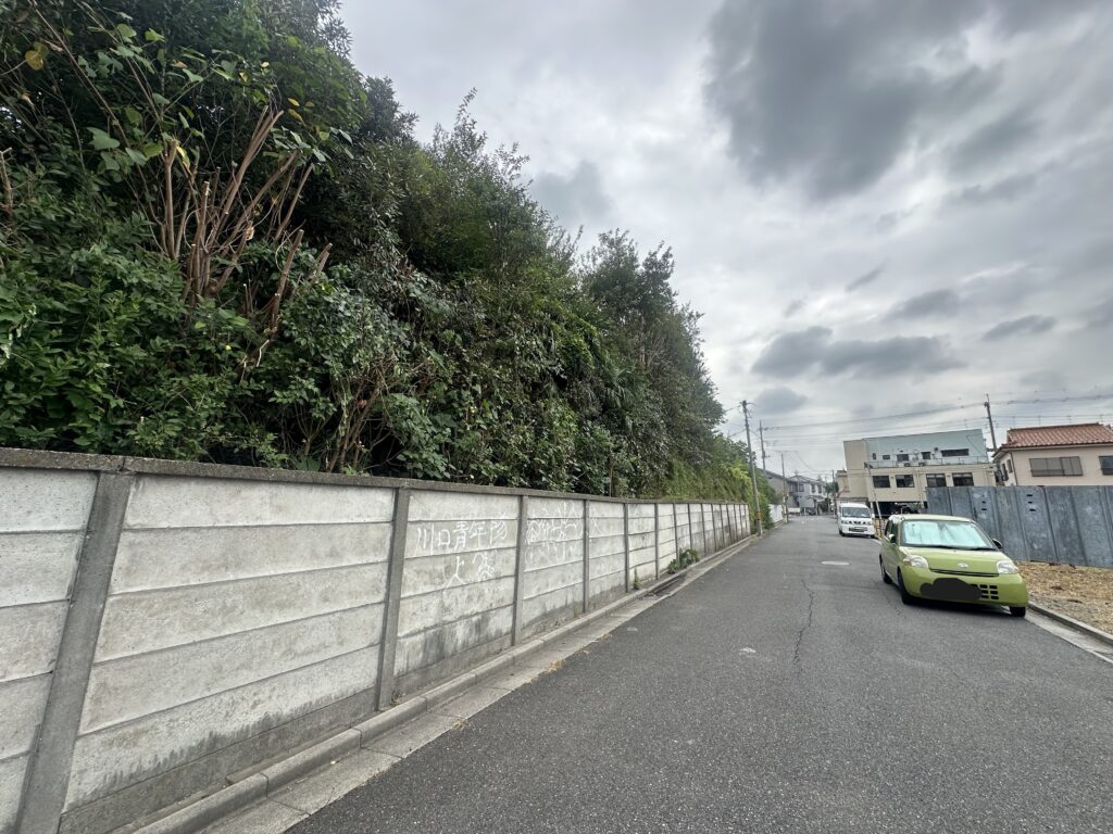 道路に飛び出た越境枝の強剪定　After