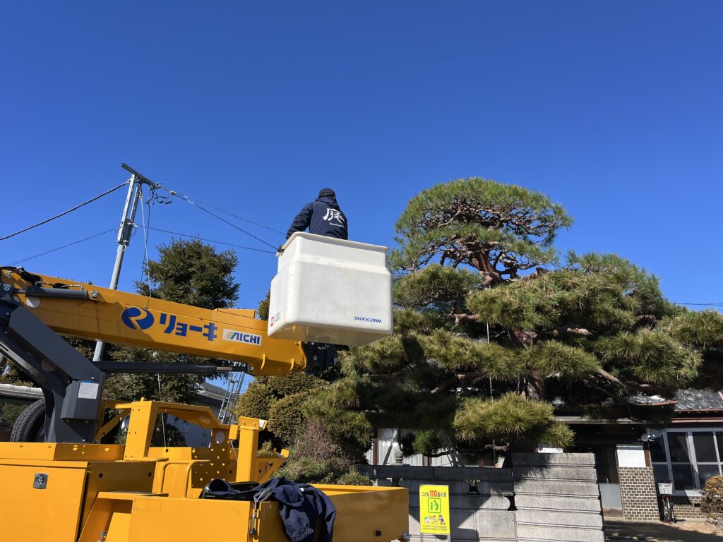 さいたま市 剪定作業2