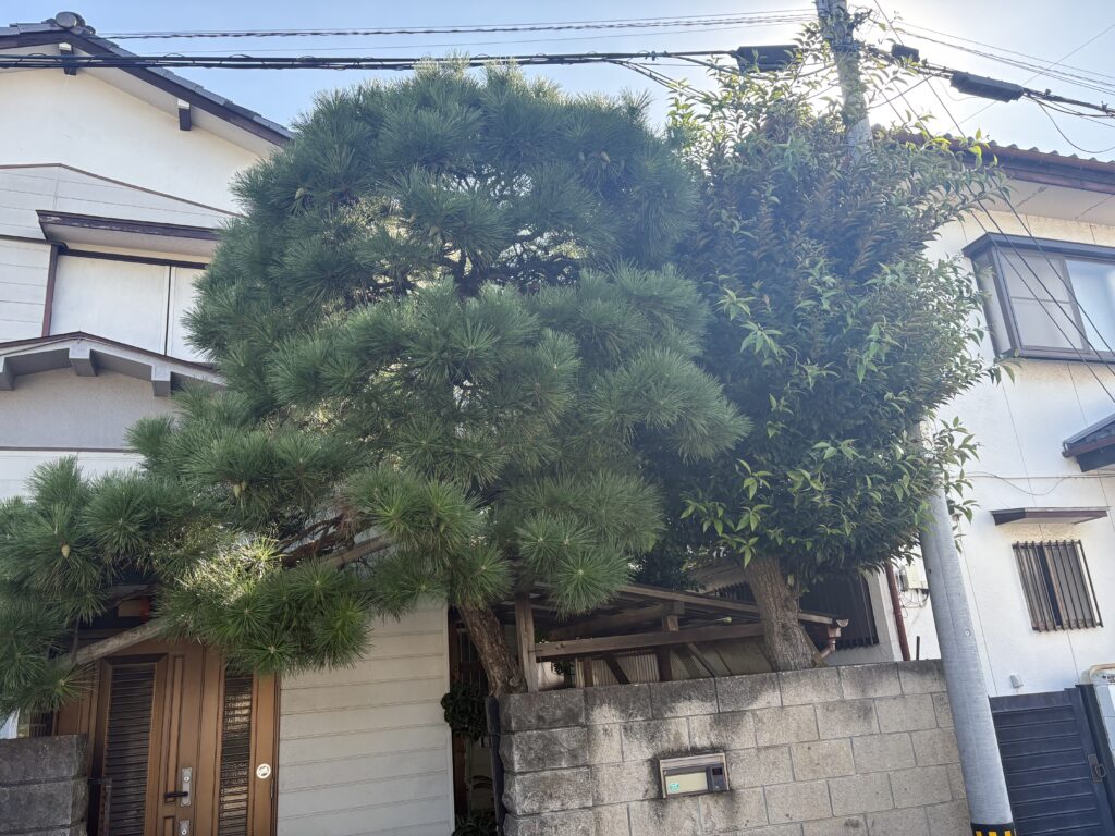 撤去前　正面