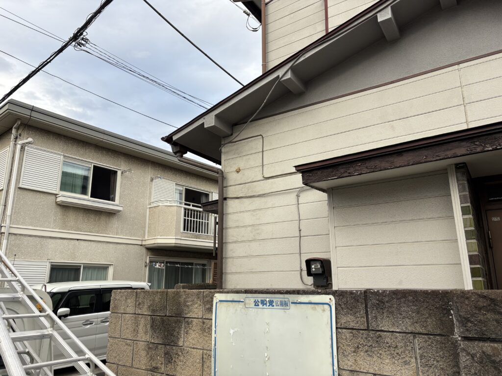 ツバキ撤去後