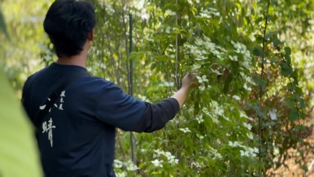 河内です。

本日は、年間管理のお客様のお手入れが終了し、来月の植栽工事に向けて野田市にある植物園さんの畑にお邪魔させていただきました。

沢山の植木に囲まれている環境は、我々にとってはとても幸せですね☺︎

#越谷市 #植木屋 #職人 #剪定