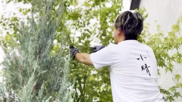 洋風のお庭の作業風景です。

和やモダン、庭には様々なジャンルがありますが、洋風のお庭ならではのバリエーション豊かなカラーリーフが魅力的です🌿

自然な形を活かしながら美しいシルエットに仕立てていき、形と色を活かした剪定で癒しの空間を保ちます。

剪定後のお庭に風が抜けるあの感じ、、、とても爽やかで気持ちいいですよね🙂

🌱お知らせ
誠に勝手ながら、8月13日〜18日はお盆休みとさせていただきます。
休業期間中にいただいたお問い合わせは、19日以降順次ご対応いたします。

ーーーーーーーーーーーーーーーーーーーーーーーーーーー
お庭づくりはもちろん、植栽やお手入れの技術に自信を持っております。
お困りごと等ございましたら是非ご連絡ください。

#植木屋　#越谷市　#オリーブ　#シマトネリコ