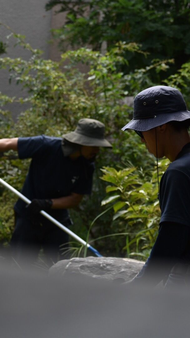 年間管理のお客様。夏の手入れは草刈り。
短期間でお庭が荒れたように見えても草が短くなるだけで様変わりします🤭

#夏　#植木屋